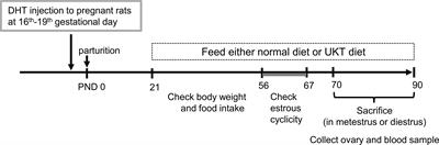 Unkeito promotes follicle development by restoring reduced follicle-stimulating hormone responsiveness in rats with polycystic ovary syndrome